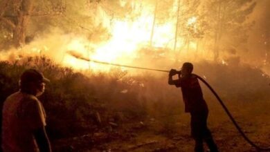 AFAD'dan 6 ile orman yangını uyarısı
