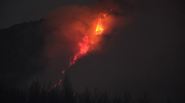 Akhisar'da orman yangını