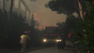 Atina'da orman yangını