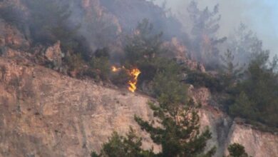 Aydın'da orman yangını kontrol altına alındı