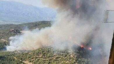 Aydın'daki orman yangınında 30 hektarlık alan zarar gördü