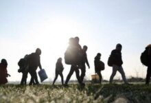 Bakanlık, sınır dışı edilen düzensiz göçmen sayısı açıkladı