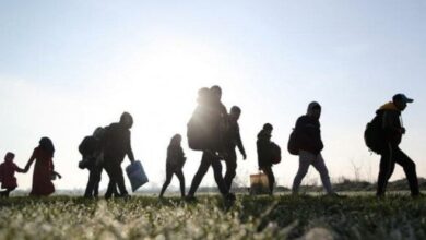 Bakanlık, sınır dışı edilen düzensiz göçmen sayısı açıkladı