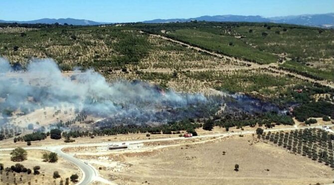 Bergama'da yangın