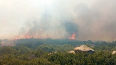 Çanakkale'de orman yangını: Havadan ve karadan müdahale