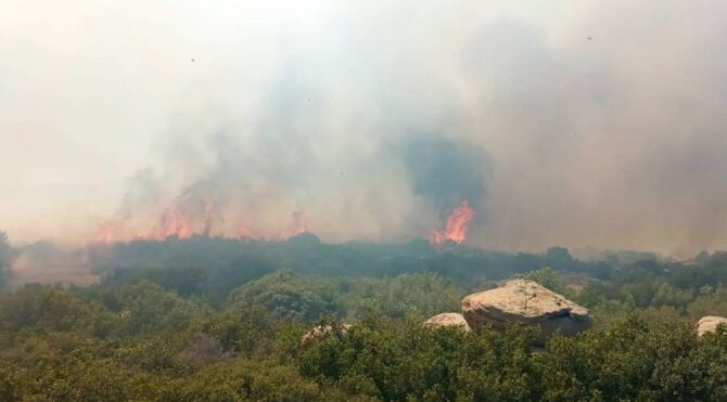 Çanakkale'de orman yangını: Havadan ve karadan müdahale