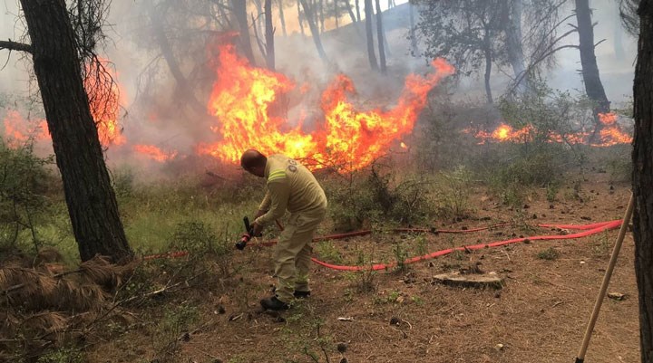 Edirne’de ormanlık alanda çıkan yangın söndürüldü