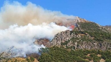 Hatay'da orman yangını