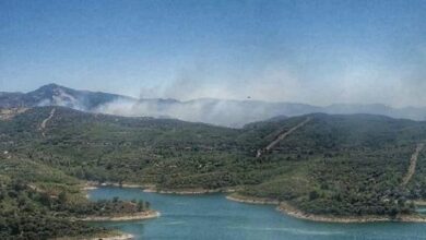 İzmir'de orman yangını