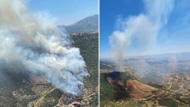 İzmir'in Ödemiş ilçesindeki orman yangını kontrol altına alındı