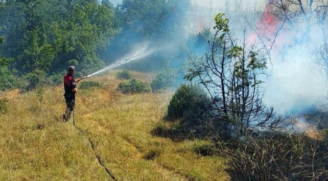Keşan'da 2 hektar orman yandı