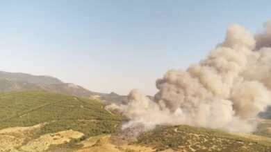 Manisa’daki yangın ormana sıçradı