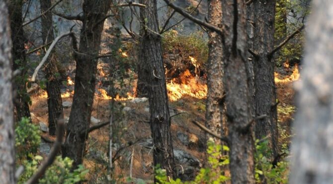 Meteoroloji'den Muğla'da orman yangını uyarısı