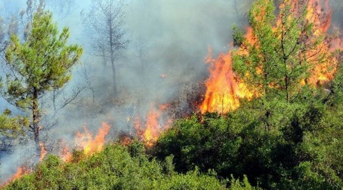 Meteoroloji orman yangınlarına karşı uyardı