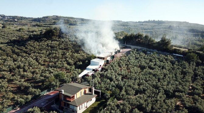 Mudanya'daki hayvan çiftliğinde yangın!