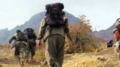 PKK-HPG konseyi üyesi öldürüldü