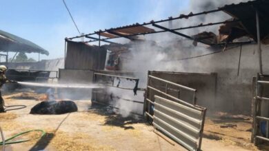 Seferihisar’daki iki orman yangınında 3 ev, 12 araç yandı
