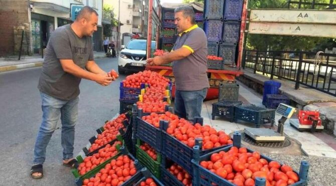 Vatandaş, salçalık domates fiyatlarından dertli