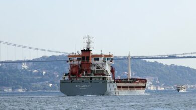 12 bin ton mısır yüklü 'Polarnet' adlı gemi, İstanbul Boğazı’ndan geçti