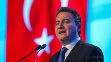 Babacan'dan Esin Davutoğlu Şenol'a destek