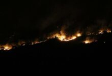 Bulgaristan’daki yangın Edirne'ye dayandı