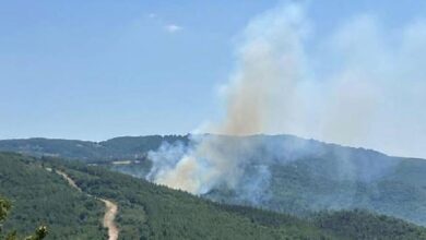 Çanakkale'de orman yangını