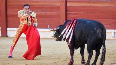 İspanya'da sirkler yasaklandı, boğa güreşleri serbest