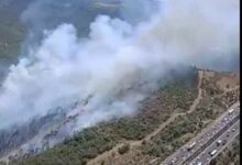 İzmir'deki ormanlık alanda yangın