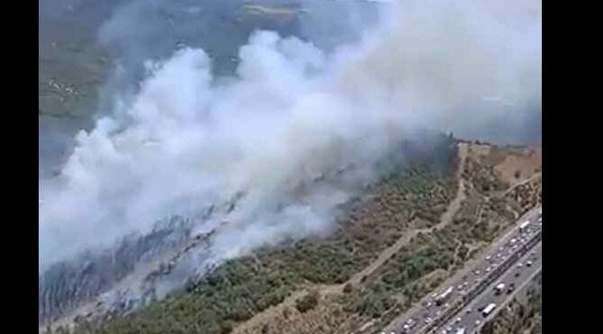 İzmir'deki ormanlık alanda yangın