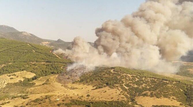 Manisa'da, 5 gün arayla 444 hektar alan yandı