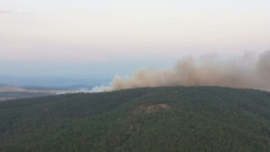 Manisa'da orman yangını