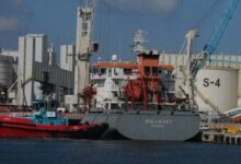 Ukrayna'dan gelen mısır yüklü gemi Kocaeli'ye ulaştı