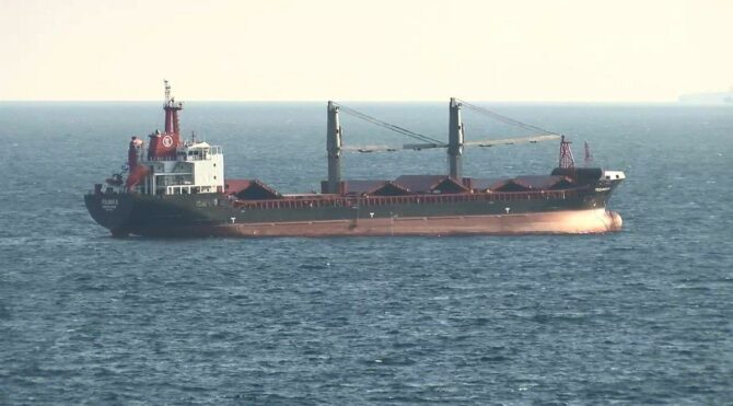 Ukrayna'dan tahıl alacak 'Fulmar S' gemisi İstanbul'da denetlendi