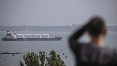 Ukrayna'dan yola çıkan tahıl yüklü gemi İstanbul'a ulaştı